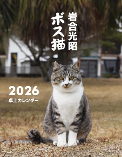 岩合光昭 ボス猫卓上カレンダー2026
