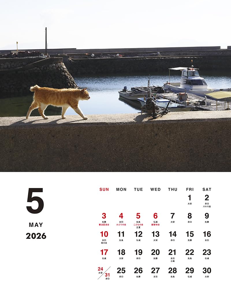 岩合光昭 ボス猫卓上カレンダー2026 – 株式会社ジーウォーク